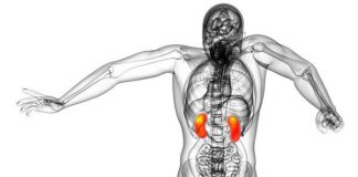 มะเร็งไต (Kidney Cancer) เมื่อไตเกิดก้อนเนื้อร้ายเป็นมะเร็ง มะเร็งไต