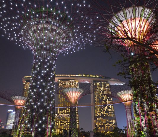 เที่ยวสิงคโปร์ ที่ สวนพฤกษศาตร์ การ์เดนส์ บาย เดอะ เบย์ เที่ยวสิงคโปร์