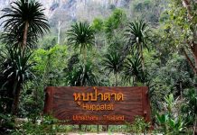 จังหวัดอุทัยธานี กับแหล่งท่องเที่ยวที่น่าสนใจ มาแนะนำ จังหวัดอุทัยธานี