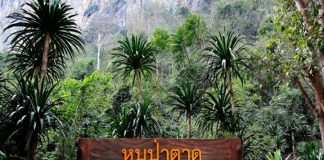 จังหวัดอุทัยธานี กับแหล่งท่องเที่ยวที่น่าสนใจ มาแนะนำ จังหวัดอุทัยธานี