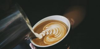 เลือกเมล็ดกาแฟอย่างไร ให้เหมาะกับเครื่องทำกาแฟสดที่บ้านคุณ เครื่องทำกาแฟสด