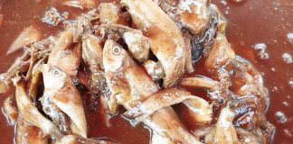 ขั้นตอนการทำปลาร้า ทำไว้รับประทานในครัวเรือน